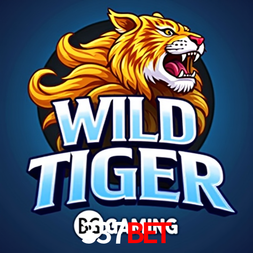 337bet,337bet.com